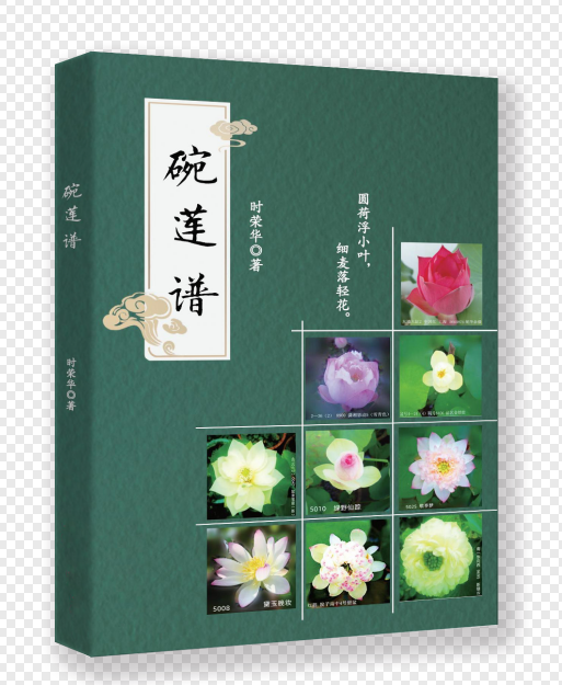碗莲谱